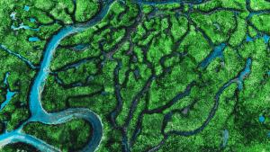 緑の山々と透き通る青い湖の空撮画像。