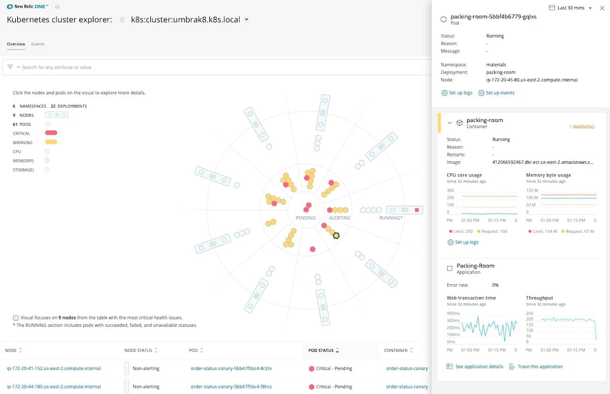 New Relic Kubernetes cluster explorer
