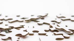 Jigsaw puzzle pieces