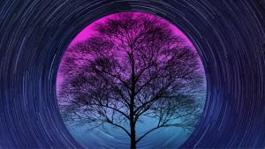 Distributed-Tracing-completed trace-tree