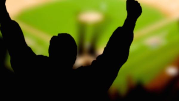 Fans excited at a baseball game