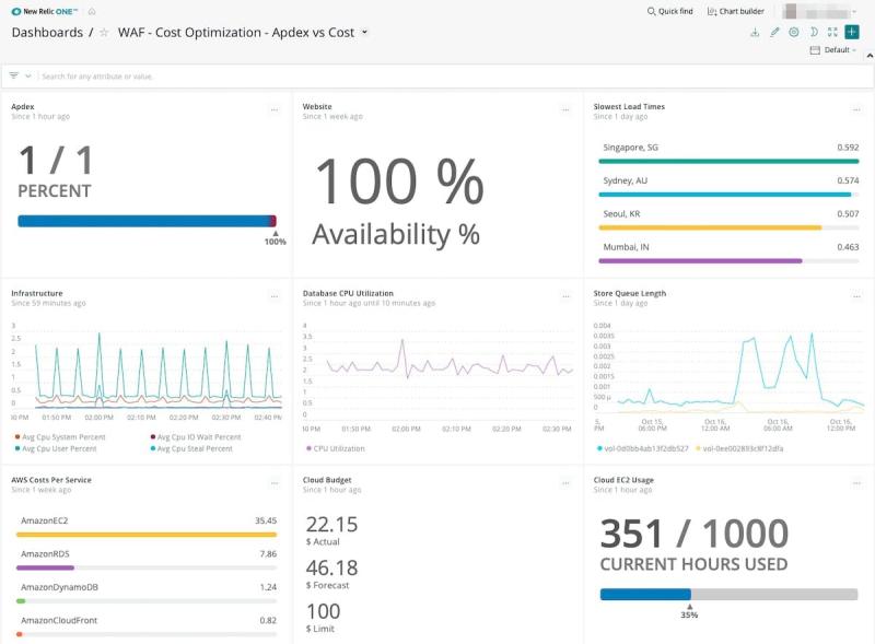 cost optimization apdex