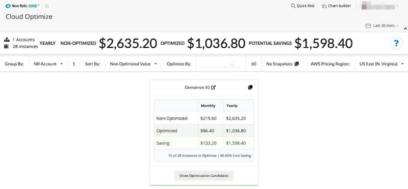 cost optimization cost optimizer