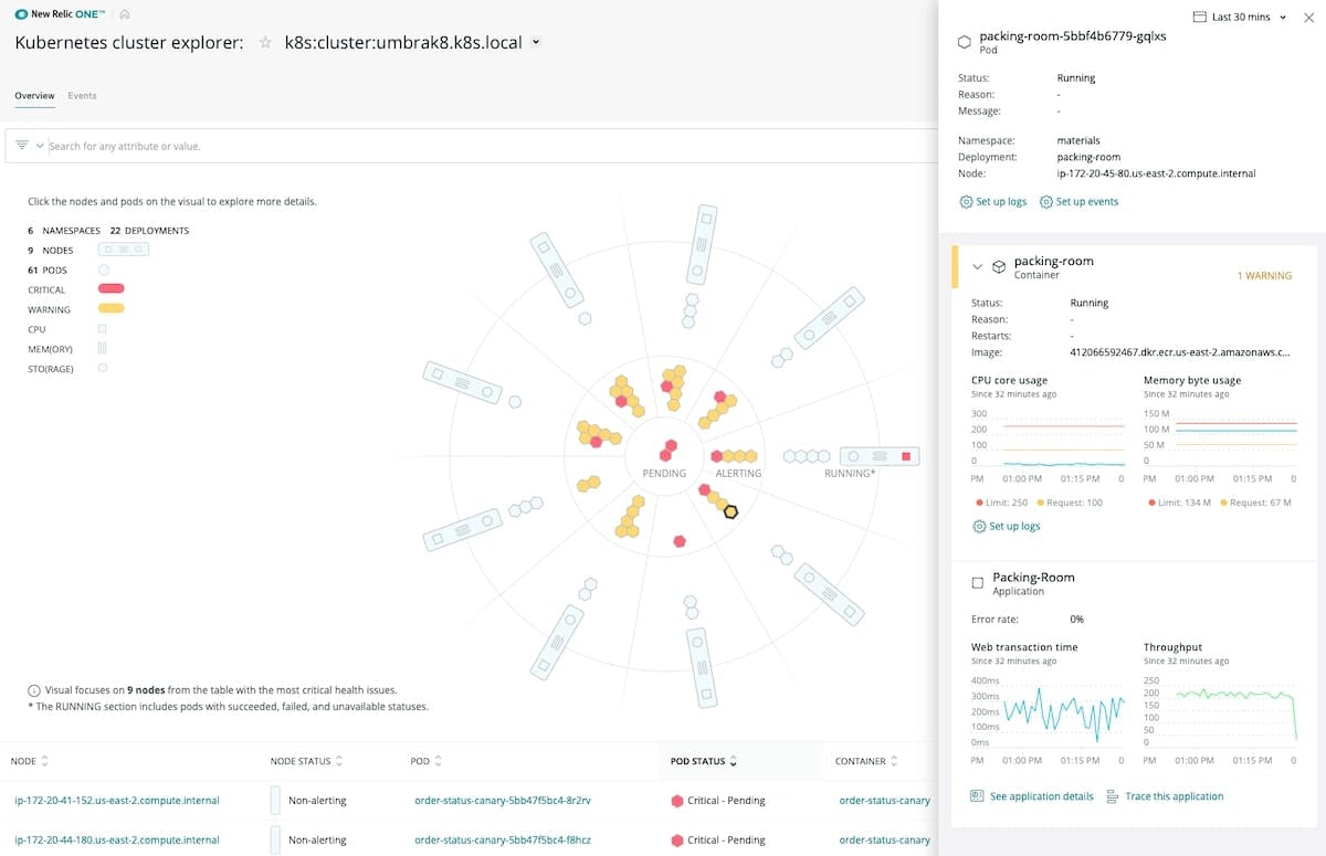 New Relic Kubernetes cluster explorer