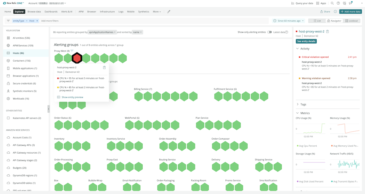 new relic one infrastructure view