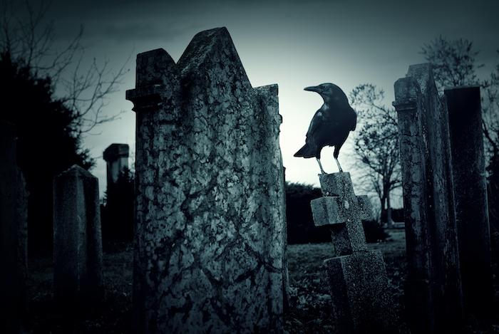 raven on a gravestone