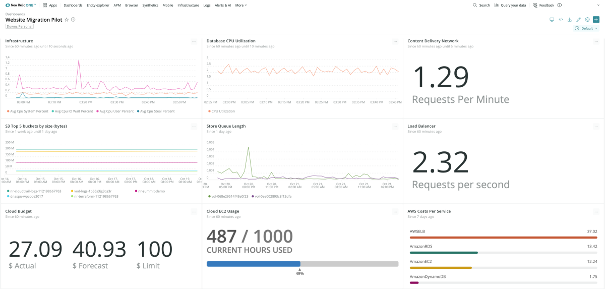 New Relic dashboard showing both infrastructure and cloud metrics.