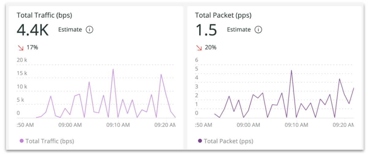 Total traffic and packets charts