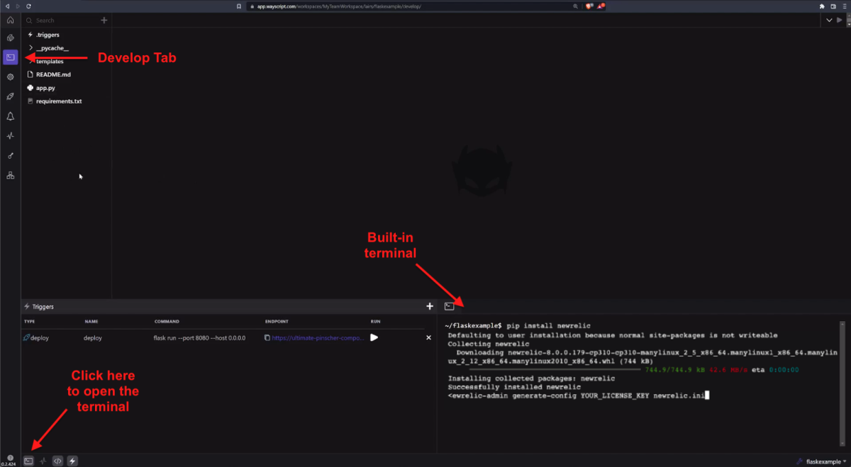 Screenshot of WayScript Develop tab