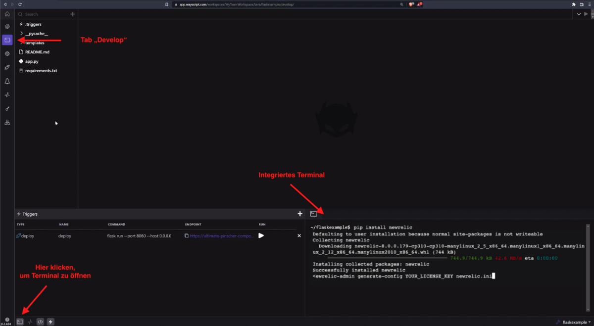 Screenshot der WayScript UI, der den Tab „Develop“ zeigt