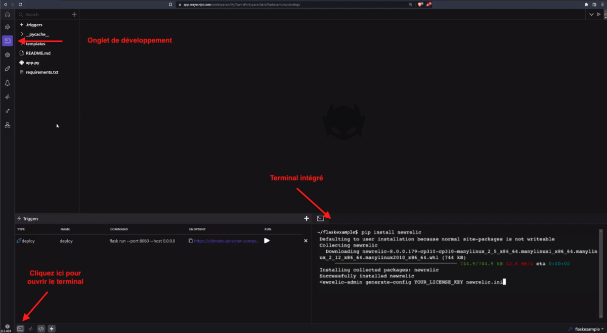 Capture d'écran de l'onglet Develop de WayScript