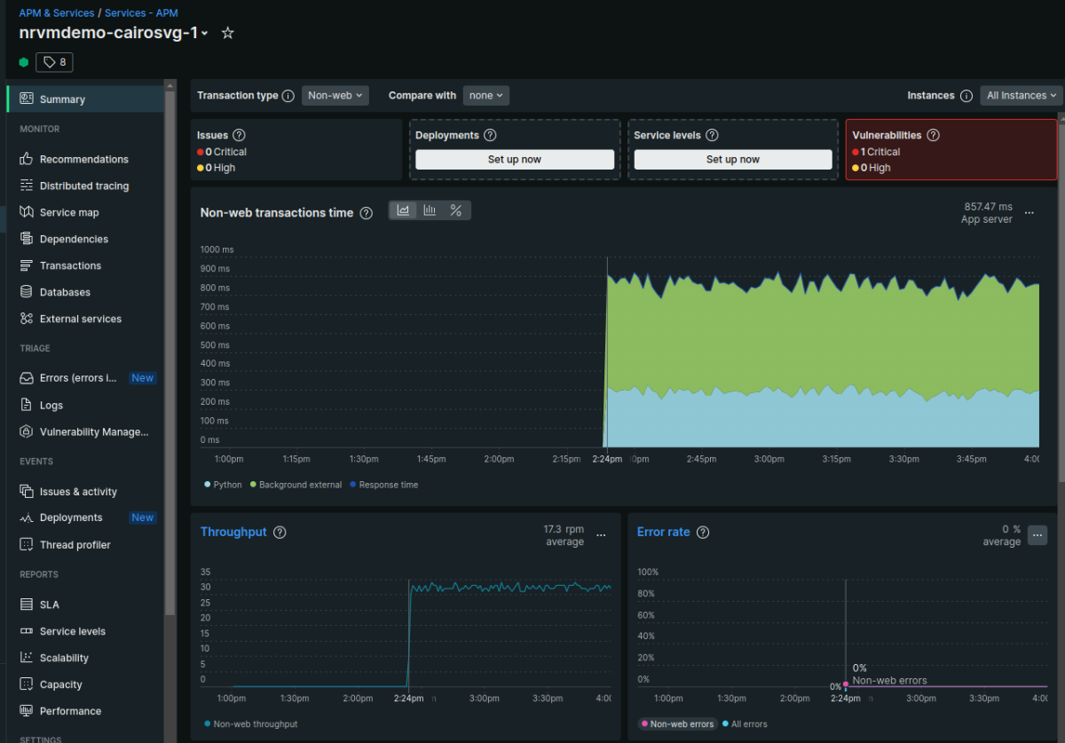 New Relic dashboard displaying the summary for the current application example
