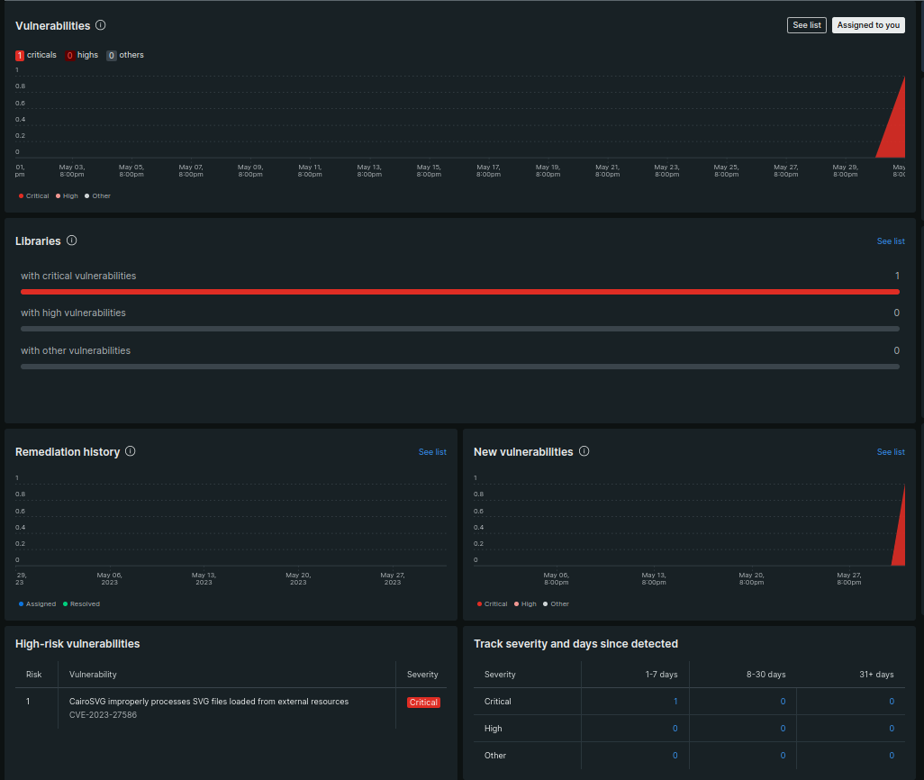New Relic dashboard displaying vulnerability summary page