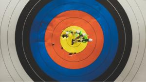 A bullseye target concentric circles going from white, black blue, red, to yellow in the middle, with arrows all throughout