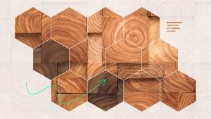 Photo of pieces of wood, viewed through 12 hexagons