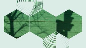 Graphic of a green wall and a shadow of a traffic light, viewed through three hexagons