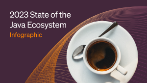 2023 State of the Java Ecosystem Infographic main image