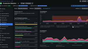 New Relic performance monitoring dashboard