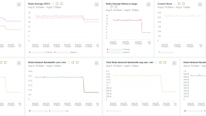 Network and infrastructure performance monitoring dashboards.