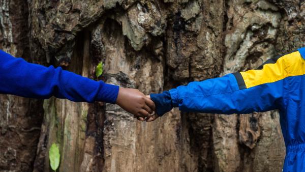 Two people holding hands around a large tree trunk 
