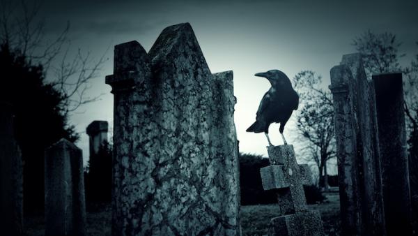 raven on a gravestone