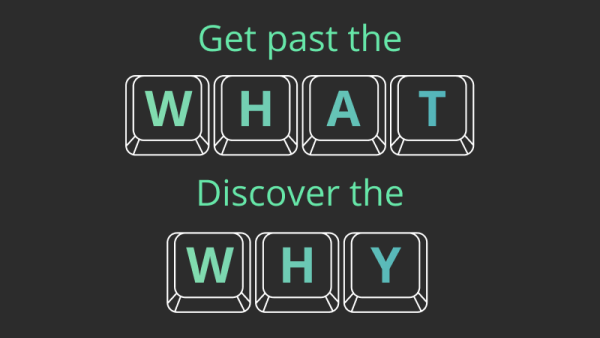 Get past the WHAT Discover the WHY
