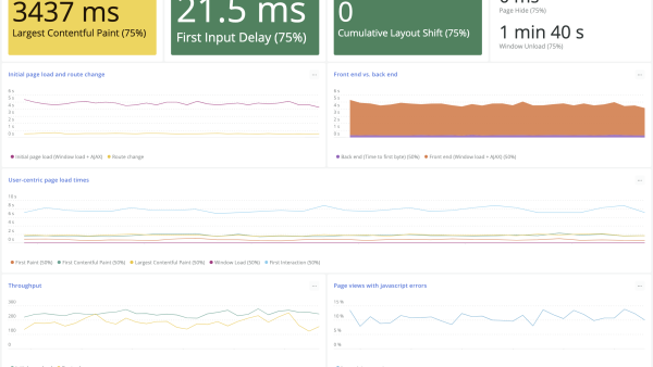 Application health screen shot showing largest contentful paint, user-centric page load times, first input delay, cumulative layout shift, initial page load and route change, and more