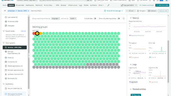 New Relic explorer UI shows alerting groups in APM services.