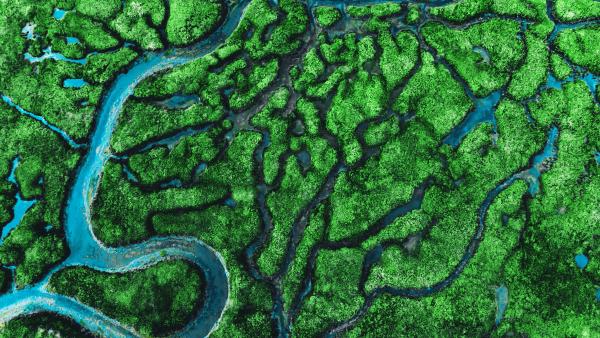 緑の山々と透き通る青い湖の空撮画像。
