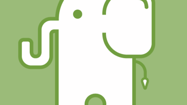 Slim green elephant logo