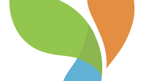 Yii icon of blue, green, and orange leaves making a y