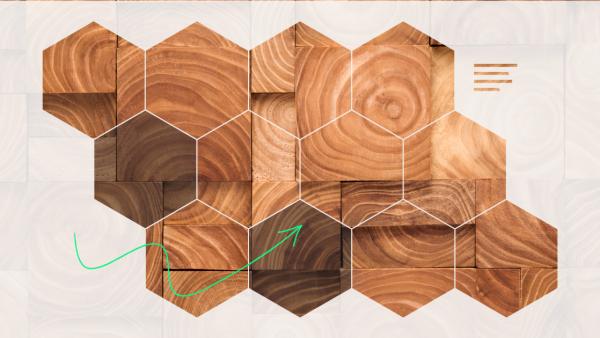 Photo of pieces of wood, viewed through 12 hexagons