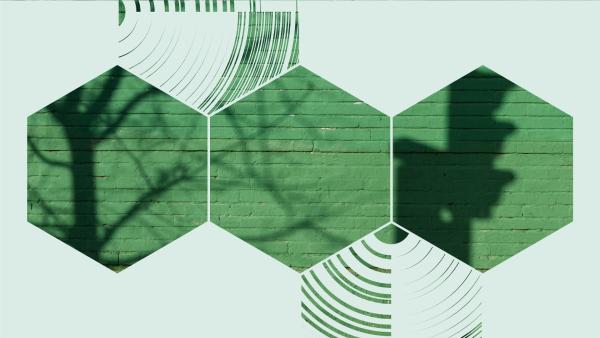 Graphic of a green wall and a shadow of a traffic light, viewed through three hexagons