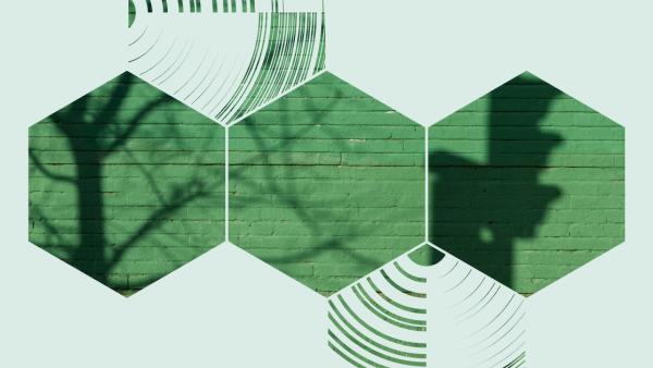 Graphic of a green wall and a shadow of a traffic light, viewed through three hexagons