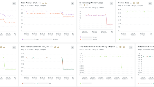 Network and infrastructure performance monitoring dashboards.