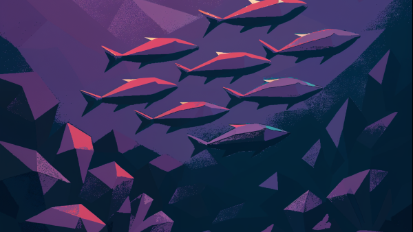 NewRelic Brand Imagery Enhanced
