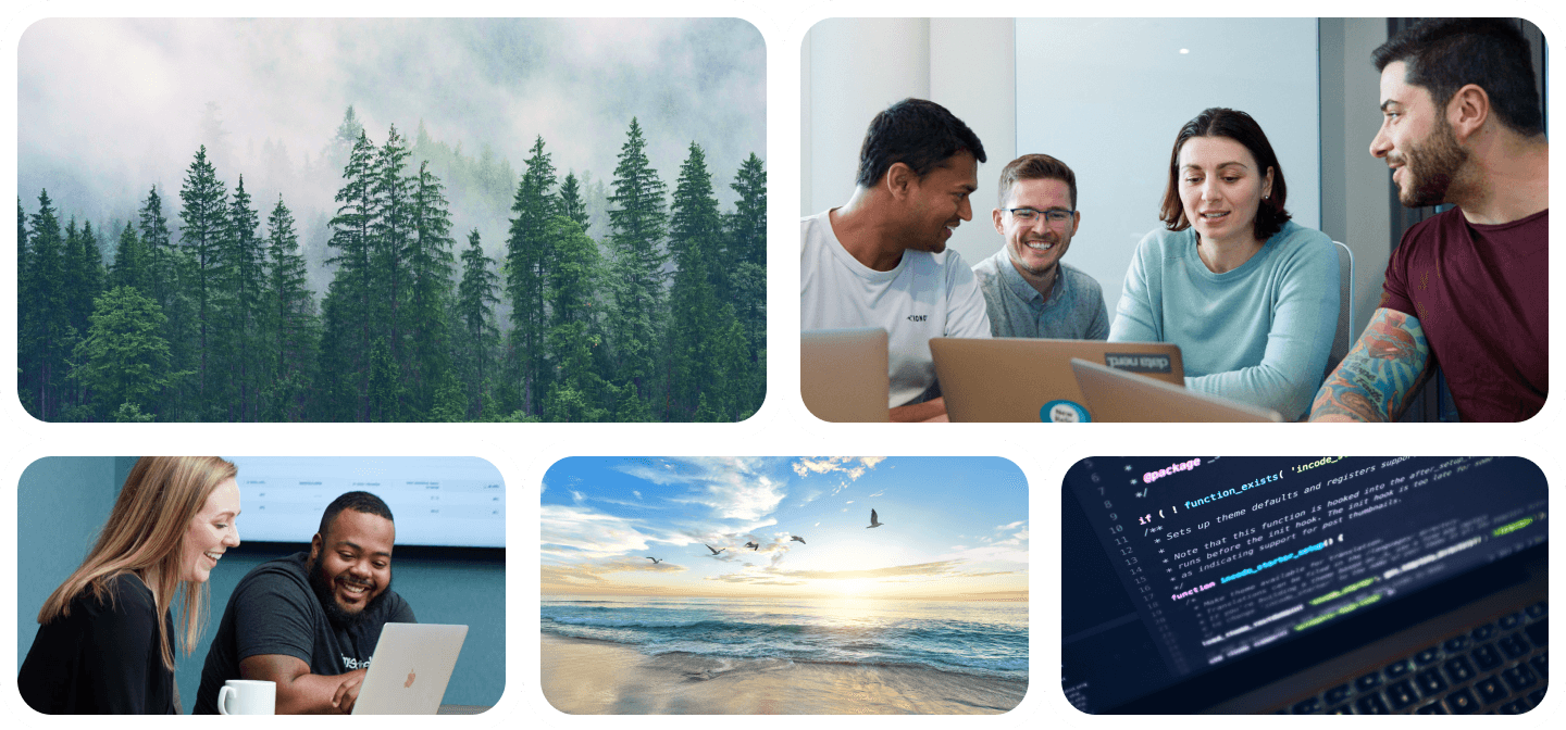 Collage of five images including a forest, people at laptops, and code