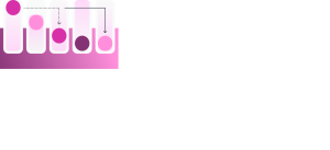 Magenta Bento Icon