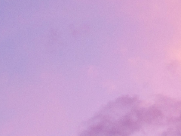 Lilac gradient background