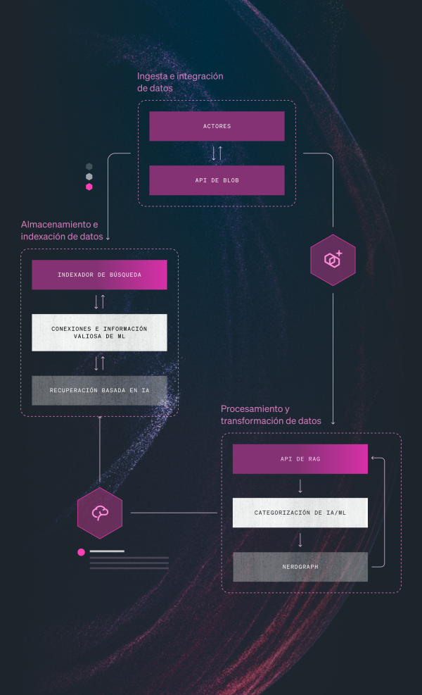 Diagrama de flujo que muestra las distintas etapas y las acciones que ocurren en cada una de ellas.