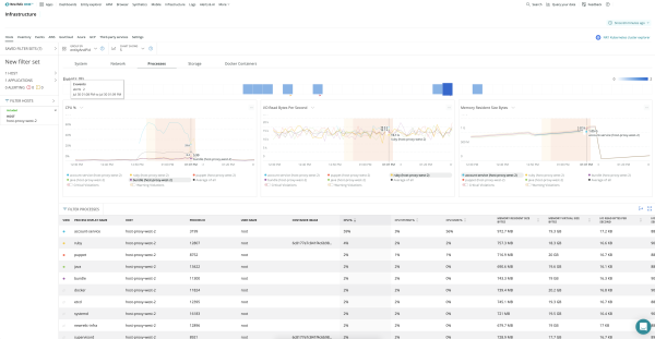 New Relic infrastructure screen capture
