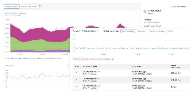 Image New Relic dashboard with graphs and data displayed