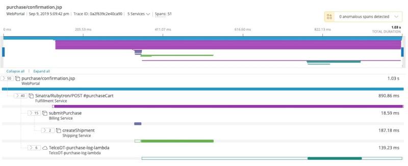 New Relic One dashboard displaying trace data