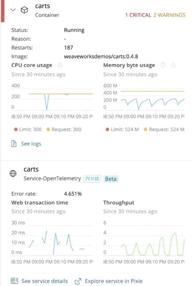 New Relic dashboard displaying data and graphs through utilizing the pod details view