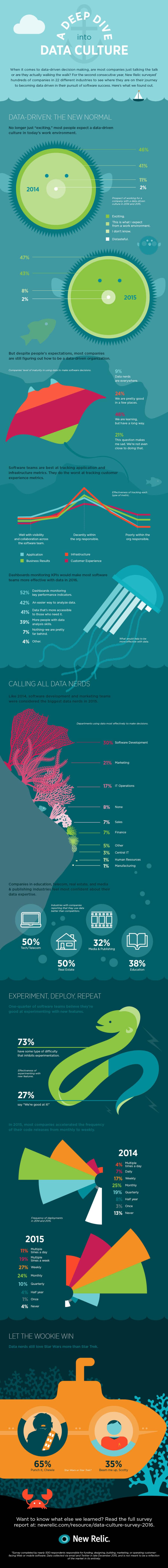 Infographic - Data Culture 2016