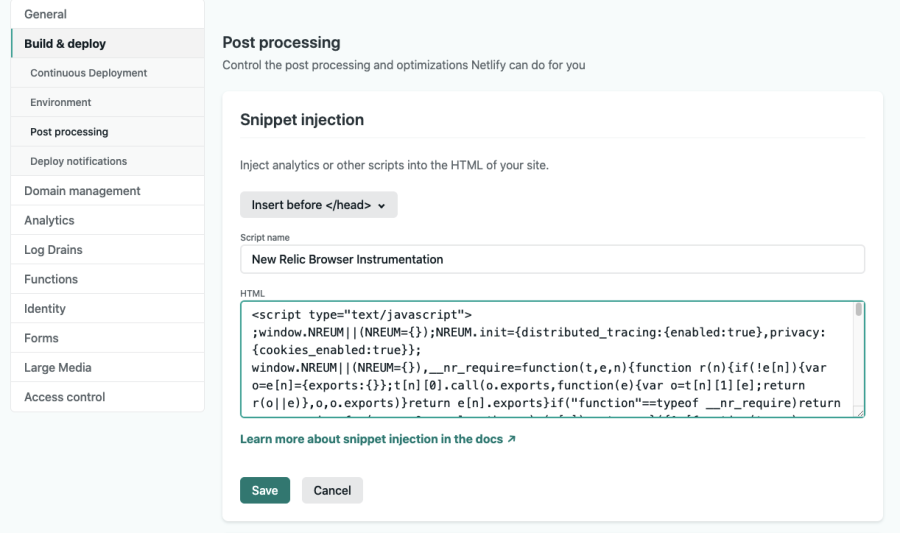 Netlify Snippet injection screenshot with pasted code