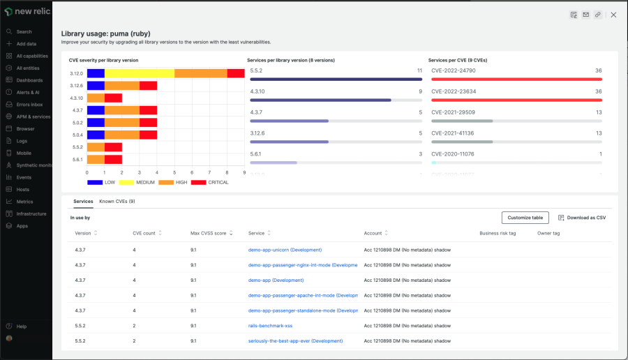 New Relic dashboard shows CVEs for a specific Ruby library.