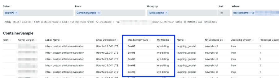 ContainerSample with custom attribute values