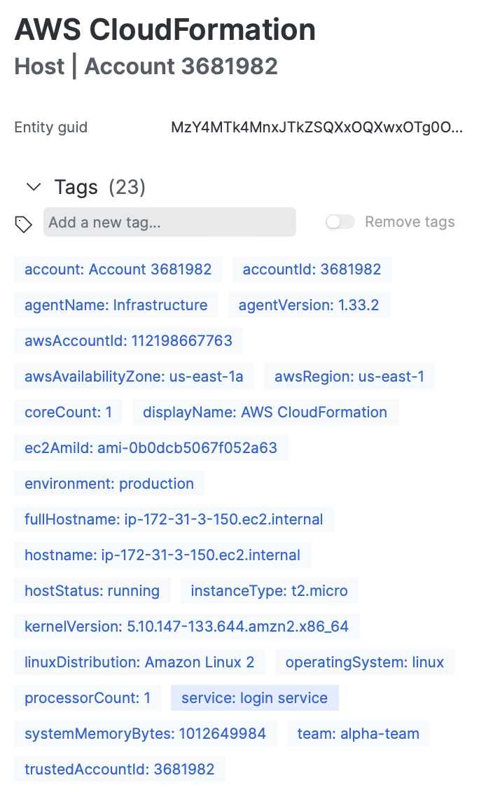 Screenshot zu den CloudFormation Instanz-Metadaten für Filtersuchen und zur Diagrammerstellung