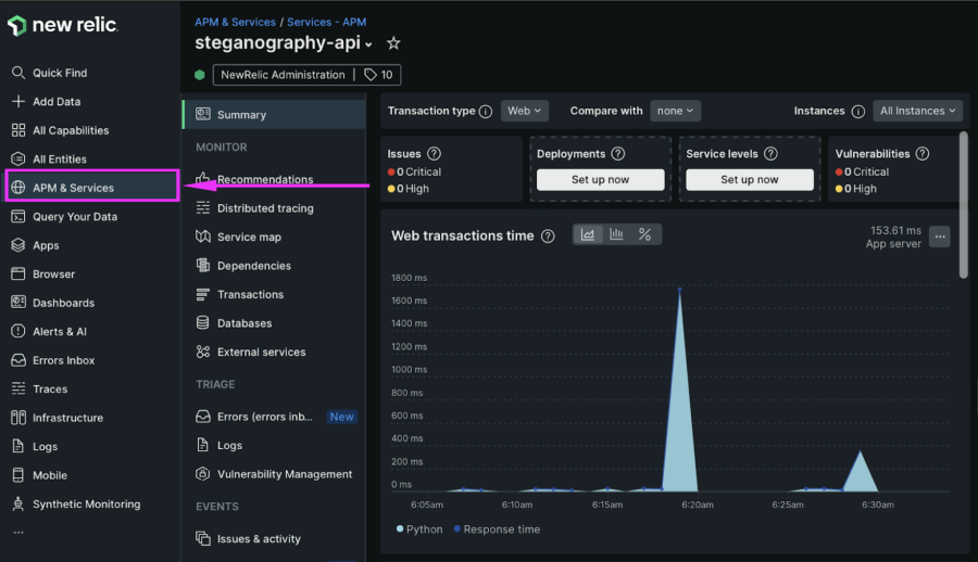 The example FastAPI app called "steganography-api" in New Relic.